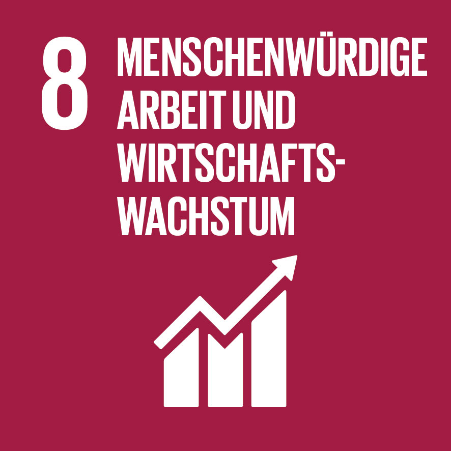SDG Icon 8