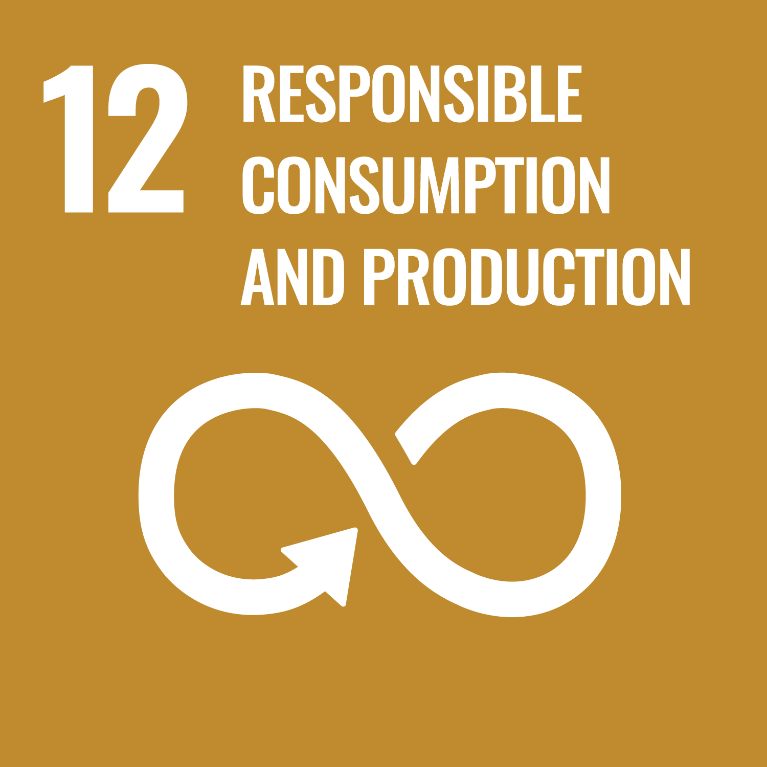 SDG Icon 12